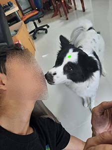 NbNĊg